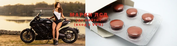 СК Алексин