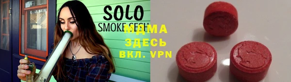 СК Алексин