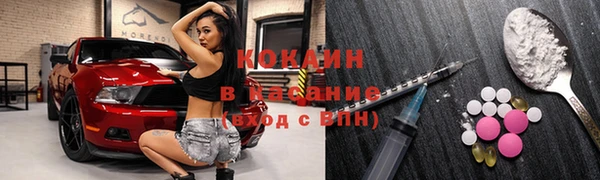 СК Алексин