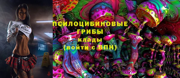 СК Алексин