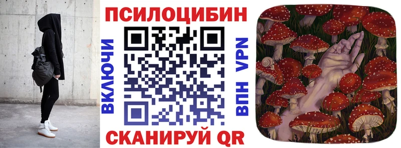 блэк спрут рабочий сайт  Аргун  Псилоцибиновые грибы ЛСД 