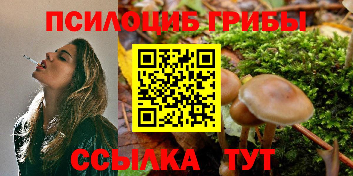 Галлюциногенные грибы Magic Shrooms Аргун