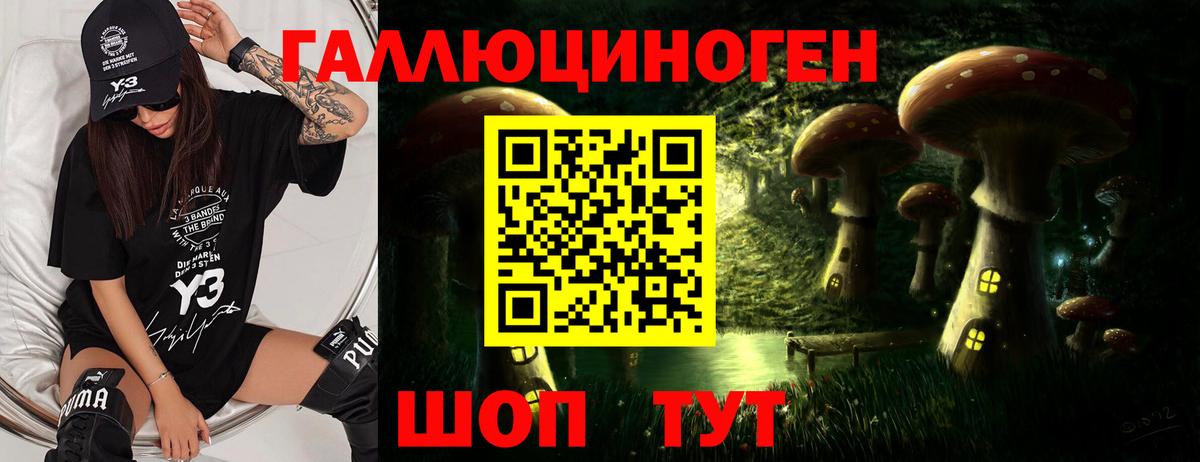 Аргун  Галлюциногенные грибы мухоморы  Вход с VPN 